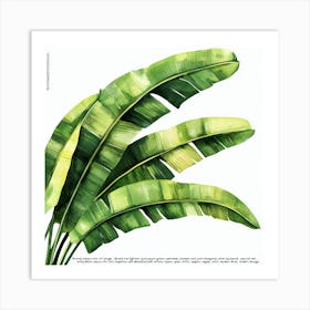 Tropical Harmony Poster