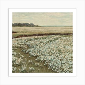 Field Of Daffodils Art Print