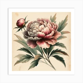 Peony Art Print Art Print