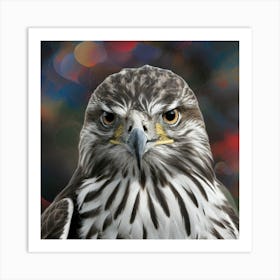 Hawk 12 Art Print