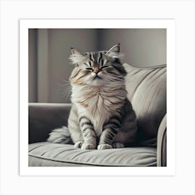 Cat Sitting On A Couch Art Print