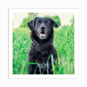 Black Labrador Retriever Art Print