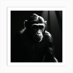 Chimpanzee - Art Print