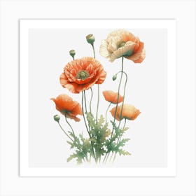 Poppy Art Print