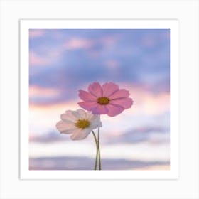 Cosmos Flowers At Sunset Art Print