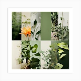 Collage Texture Photography Pictures Fonts Pastel Botanical Plants Layered Mixed Media Vi (17) Art Print