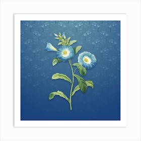 Vintage Field Bindweed Botanical on Bahama Blue Pattern n.0196 Art Print