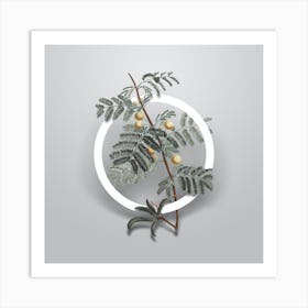 Vintage Sweet Acacia Minimalist Botanical Geometric Circle on Soft Gray n.0126 Art Print