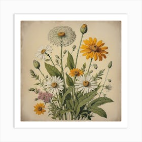 Daisies In A Vase Art Print