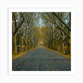 Autumn Leaves In The Park Art Print