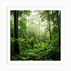 Firefly Rainforest Forest Background 12750 Poster