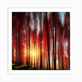 Sunset In The Forest 48 Art Print