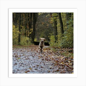 Dog Running In The Autumn Forest Art Print