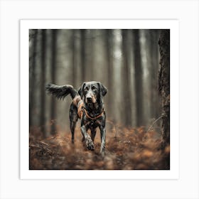 Dog In The Woods Art Print