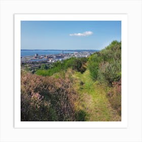 View From The Hill Art Print