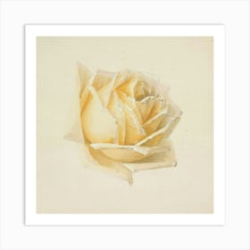 Yellow Rose Art Print