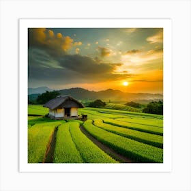 Sunset In The Tea Fields Art Print