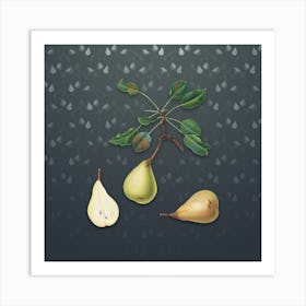 Vintage Pear Botanical on Slate Gray Pattern n.1432 Art Print