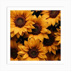 Sunflowers 3 Art Print