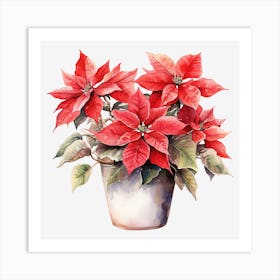 Poinsettia 36 Art Print