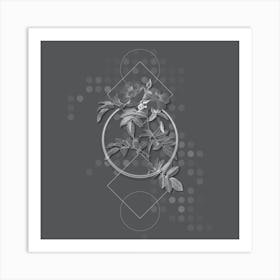 Vintage Shining Rosa Lucida Botanical with Line Motif and Dot Pattern in Ghost Gray Art Print