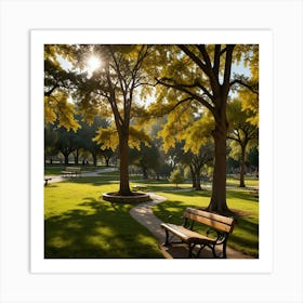 Park In The Sun Art Print