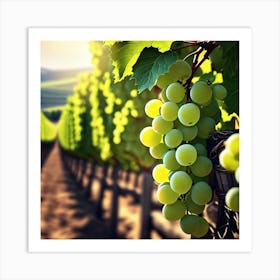 Grapes In A Vineyard 2 Art Print