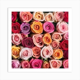 Colorful Roses 12 Art Print