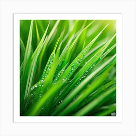 Green Grass With Water Droplets 2 Art Print