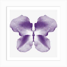 Purple Rose Petal Butterfly Art Print