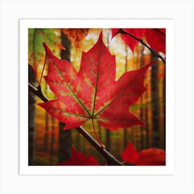 A red maple leaf 2 Art Print