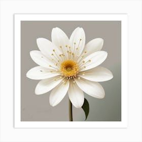 White Daisy Art Print