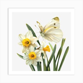 Daffodils And Butterfly 1 Art Print