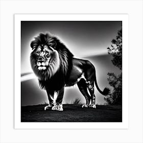 Lion In Black And White 5 Art Print
