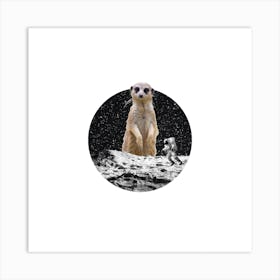 Meerkat Collage Square Art Print