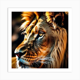 Lion Portrait 13 Art Print