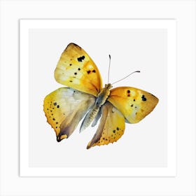 Yellow Butterfly Watercolor Painting Art Print