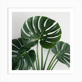 Full Green Plant (1) Art Print