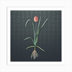 Vintage Veltheimia Abyssinica Botanical on Slate Gray Pattern Art Print