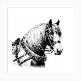 Horse Drawing 3 Art Print