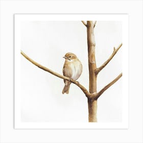 Bird On A Branch Art Print