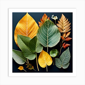 Autumn Leaves, Different Types Of Leaves And Their Textures art print 2 Art Print