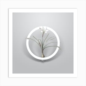 Vintage Rain Lily Minimalist Botanical Geometric Circle on Soft Gray n.0442 Art Print