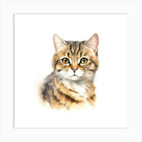 Blackfooted Cat Portrait Art Print