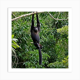 Hanging Monkey Art Print