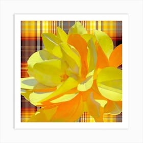 Yellow Flower on Plaid Art Print