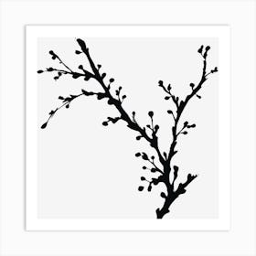 Ink Blossom Branch Isolated On Black Art Print