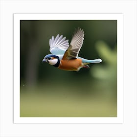 Pajaro Captadp Por La Camara Art Print