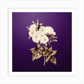 Gold Botanical Noisette Roses on Royal Purple n.2160 Art Print
