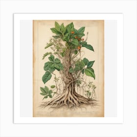 a whole plant with its roots Art Print